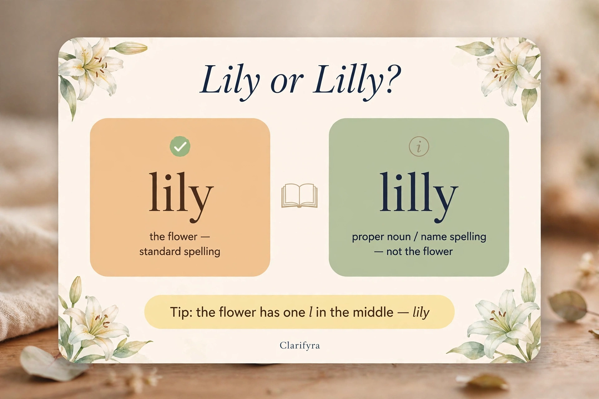 Lily or Lilly? — the flower vs the name spelling infographic