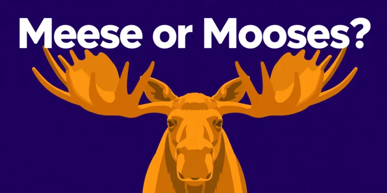 Meese or mooses? — irregular plural infographic