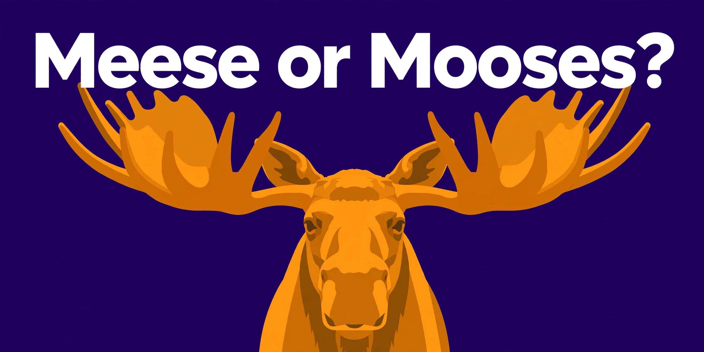 Meese or mooses? — irregular plural infographic